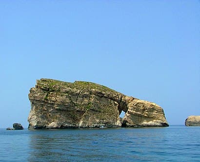 Fungus Rock